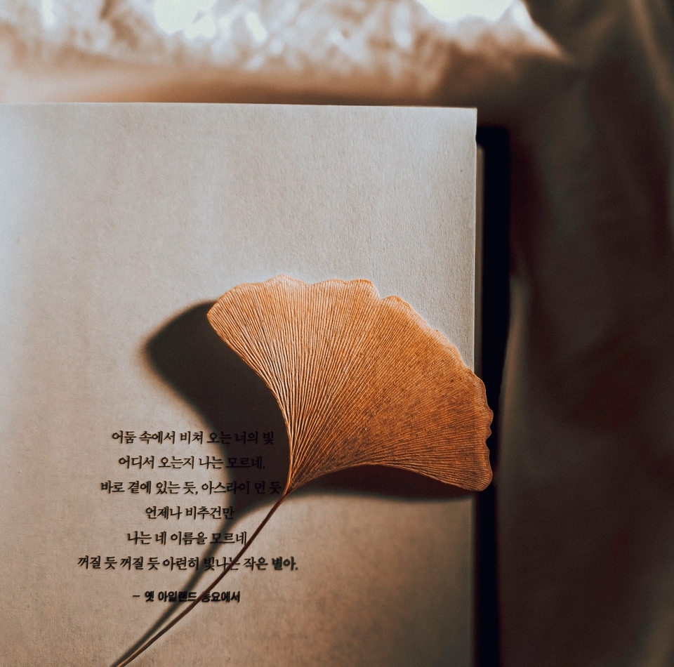 교육